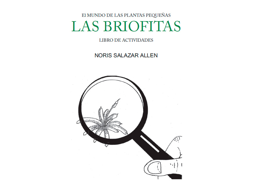 El Mundo de las Plantas Pequeñas - Las Briofitas