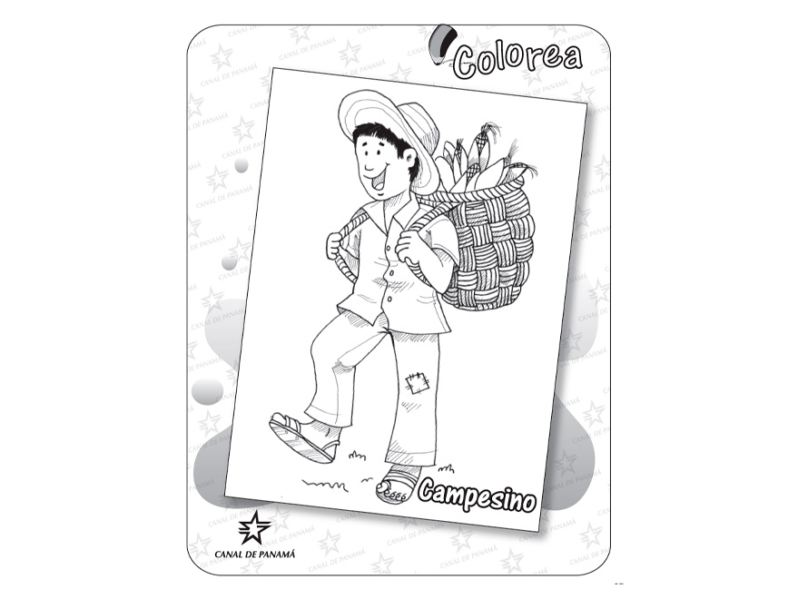 Páginas 37 a 48