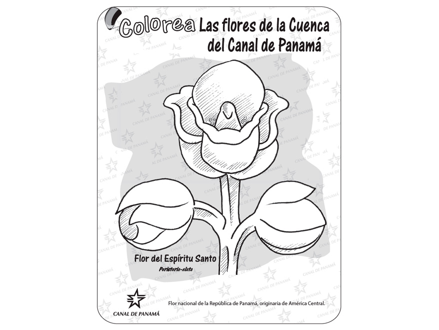 Páginas 49 a 60